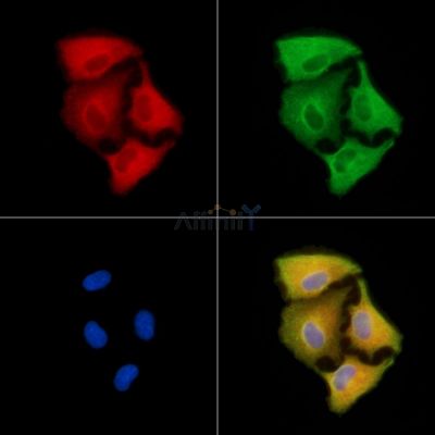 Валидация Affinity DF13805 - 9485