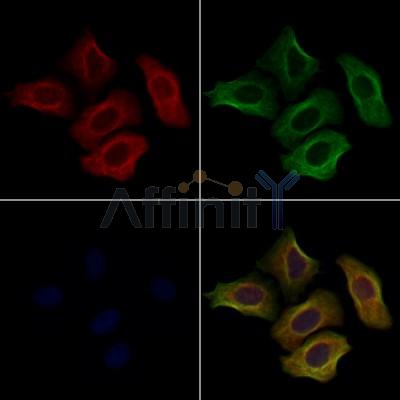 Валидация Affinity AF7760 - 4465