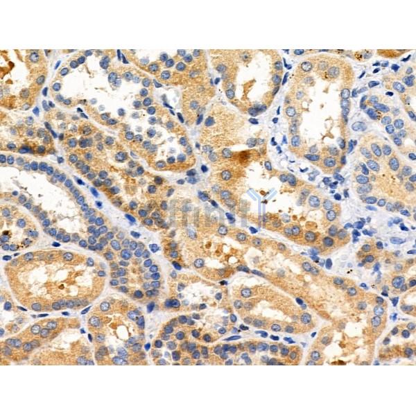 Валидация Affinity DF3965 - 15180