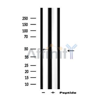 Валидация Affinity AF5354 - 2958