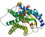 Purinergic Receptor P2Y, G Protein Coupled 11 (P2RY11) Purinergic Receptor P2Y, G Protein Coupled 11 (P2RY11)