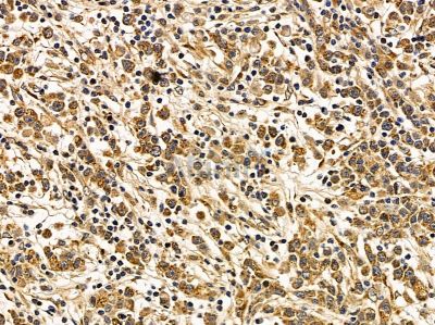 Валидация Affinity DF14499 - 10485