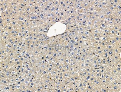 Валидация Affinity DF15228 - 11500