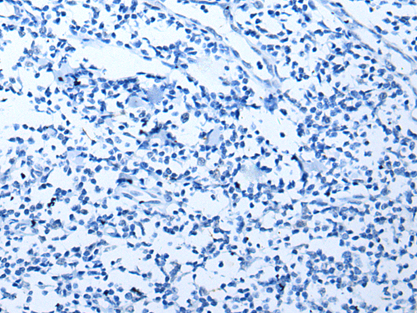 Валидация AssayVector ARM1812(2334)