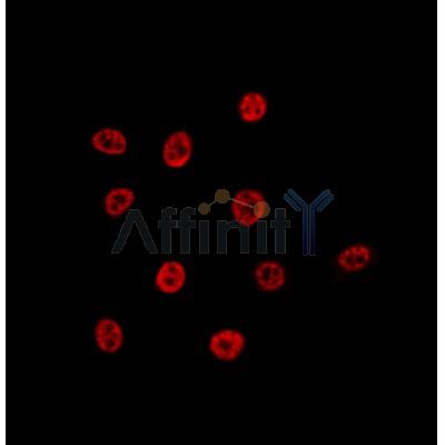 Валидация Affinity DF12209 - 6473