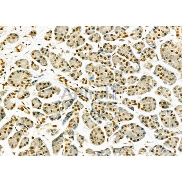 Валидация Affinity DF9569 - 22246