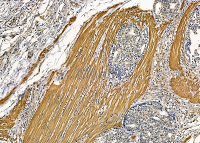 Валидация Affinity DF9034 - 21274