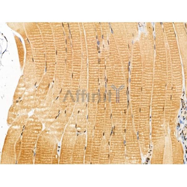 Валидация Affinity DF13174 - 8150