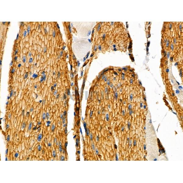 Валидация Affinity DF10058 - 5527