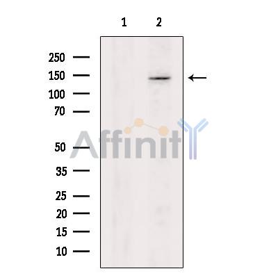 Валидация Affinity AF6247 - 3494