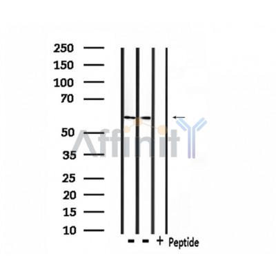 Валидация Affinity DF3382 - 14266