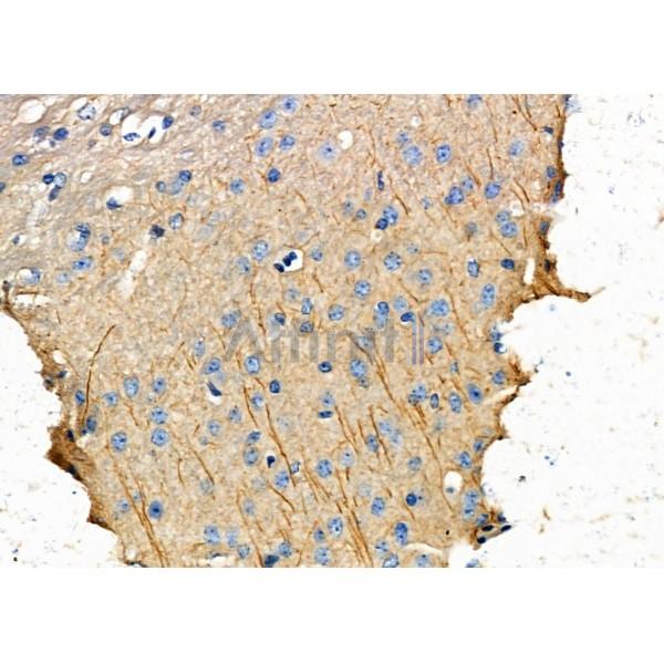 Валидация Affinity DF6799 - 18371