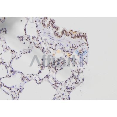 Валидация Affinity DF6269 - 17567