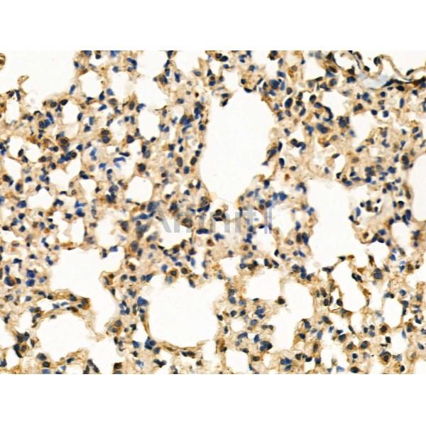 Валидация Affinity AF5262 - 2774