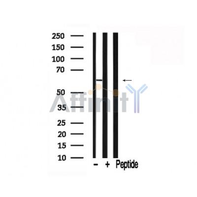 Валидация Affinity AF7729 - 4426