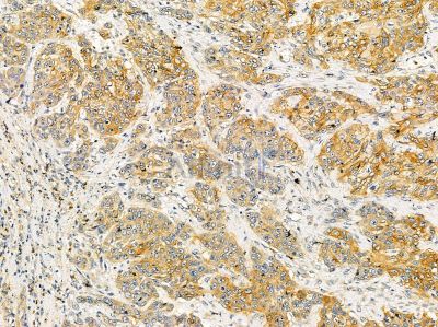 Валидация Affinity DF14425 - 10372