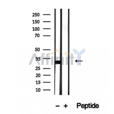Валидация Affinity DF12279 - 6626