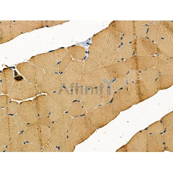 Валидация Affinity DF4449 - 15962