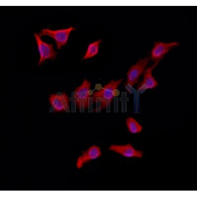 Валидация Affinity DF12080 - 6166