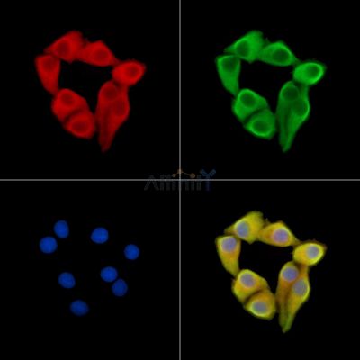 Валидация Affinity DF14425 - 10373