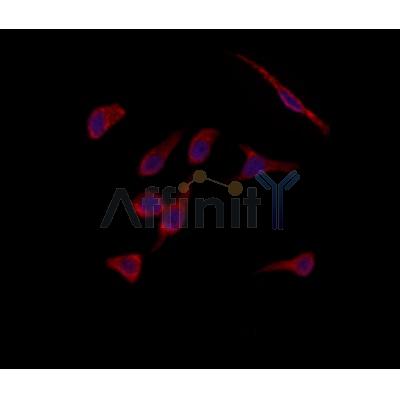 Валидация Affinity DF4911 - 16717