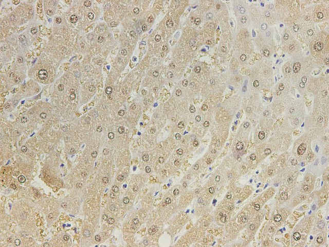 Валидация Elabscience D-AB-10164L