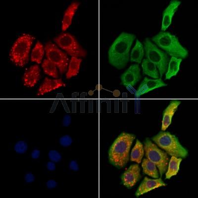 Валидация Affinity DF12316 - 6707