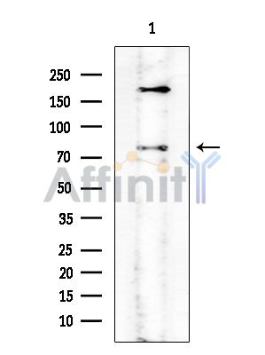 Валидация Affinity DF4470 - 15998