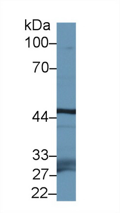 10328