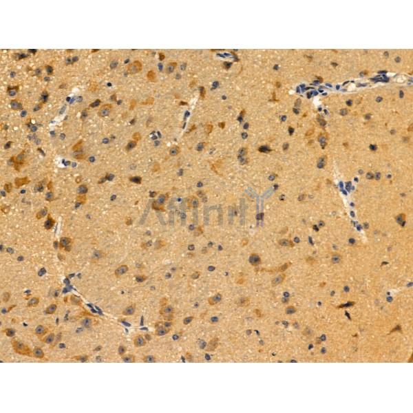 Валидация Affinity DF3252 - 14096