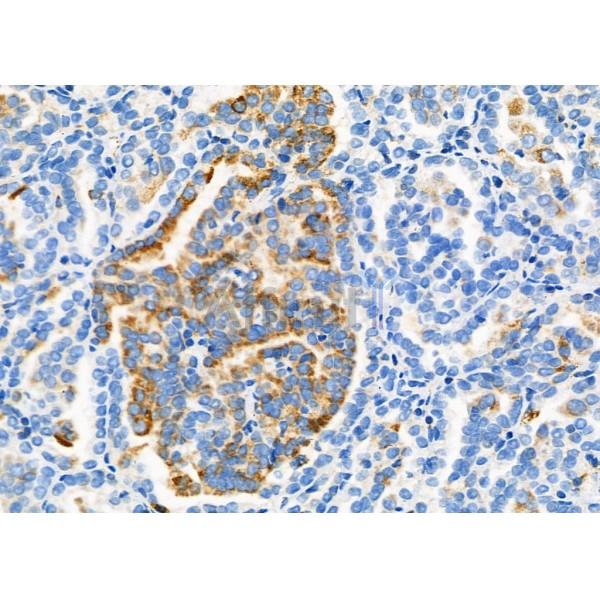 Валидация Affinity DF9877 - 22819