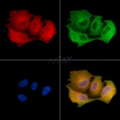 Валидация Affinity DF14120 - 9915