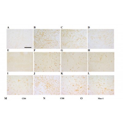 Валидация Affinity DF6476 - 17869