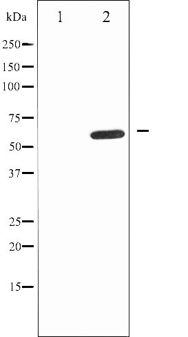 Валидация Affinity AF6435 - 3745