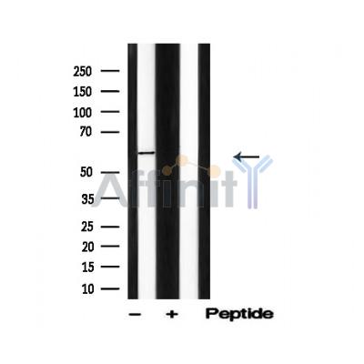 Валидация Affinity AF4791 - 2410