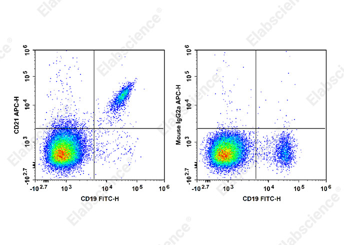 Валидация Elabscience E-AB-F1320E