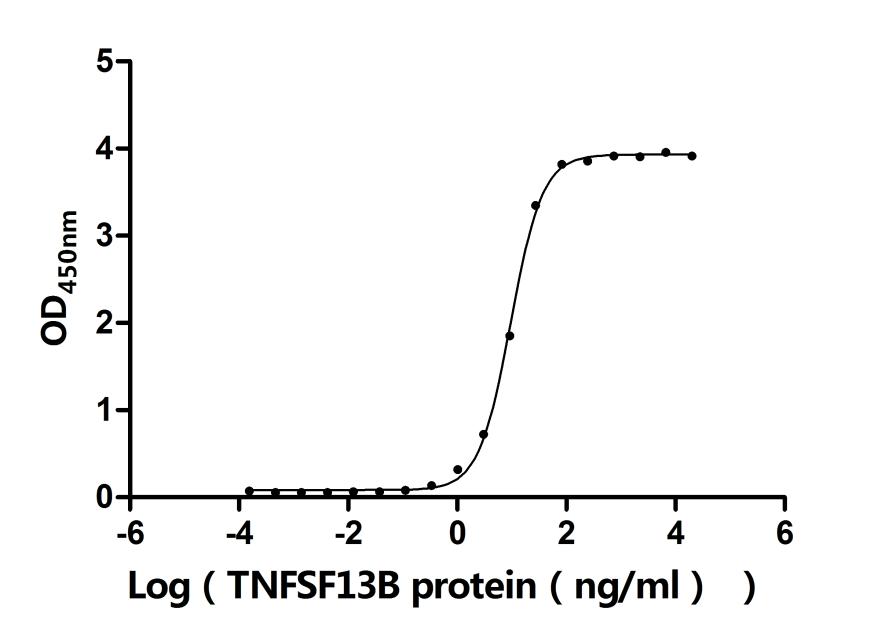 Функциональный ИФА: связывание TNFSF13B с TNFRSF13B