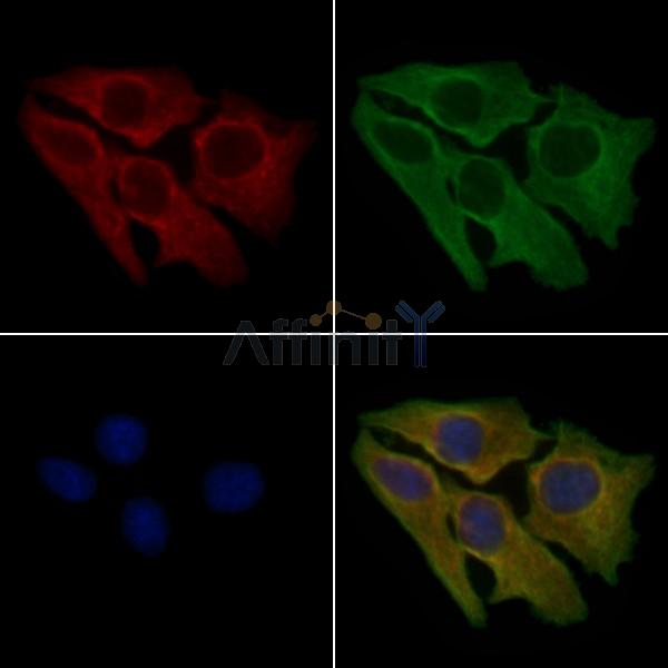 Валидация Affinity DF4683 - 16356