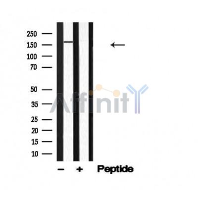 Валидация Affinity AF4738 - 2357