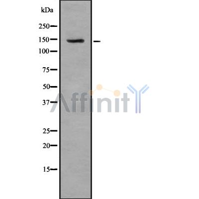 Валидация Affinity DF8469 - 20348
