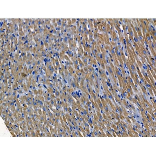 Валидация Affinity DF13447 - 8779