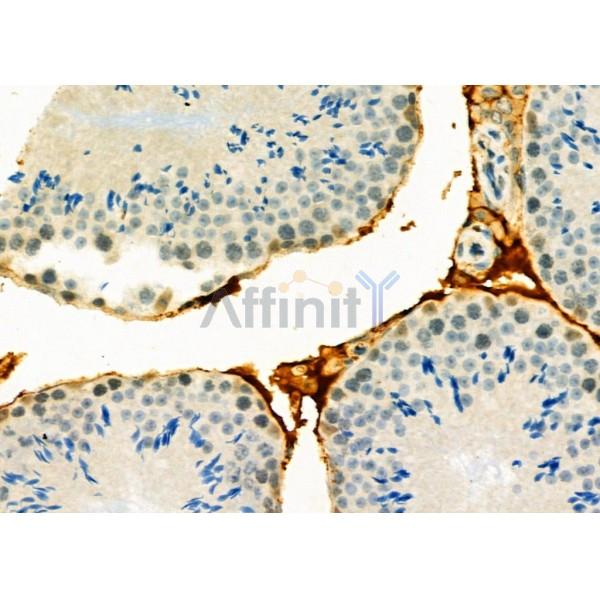 Валидация Affinity DF8731 - 20747