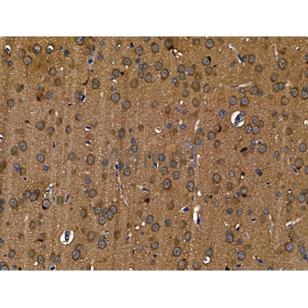 Валидация Affinity DF13435 - 8754