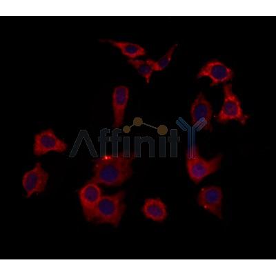 Валидация Affinity DF12280 - 6629