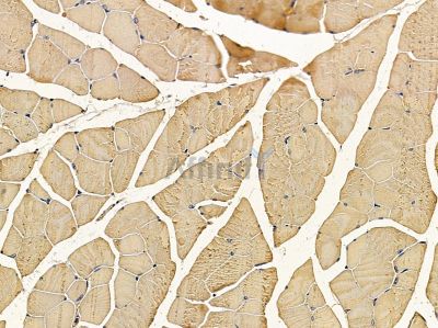 Валидация Affinity DF5192 - 17176