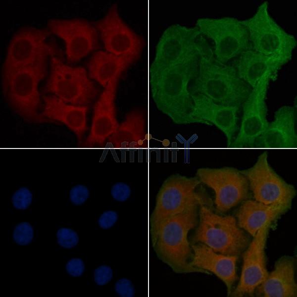 Валидация Affinity DF5126 - 17073