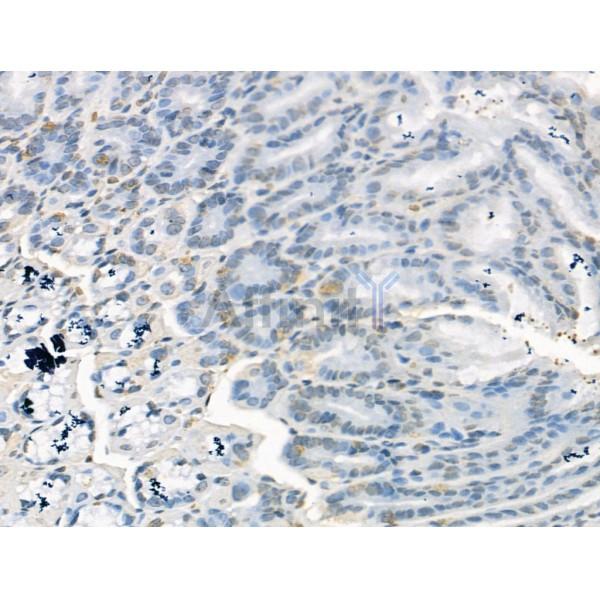 Валидация Affinity DF13288 - 8411