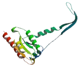 RAB27B, Member RAS Oncogene Family (RAB27B)