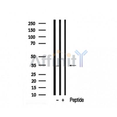 Валидация Affinity AF7950 - 4706