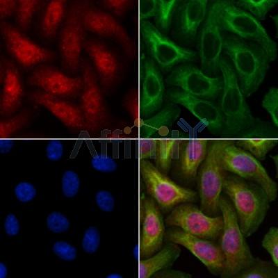 Валидация Affinity DF10075 - 5557